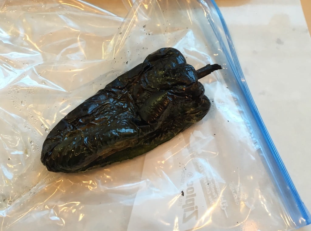 poblano pepper