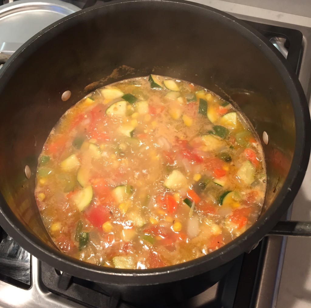 Mexican Chicken Vegetable Soup