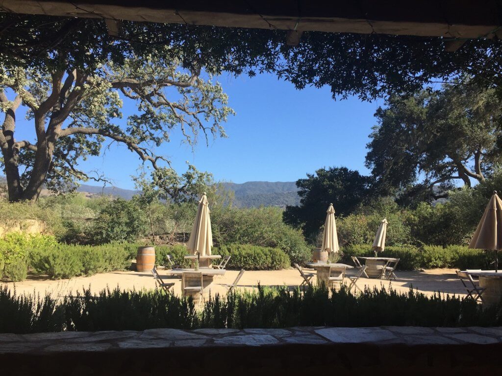 santa ynez wineries