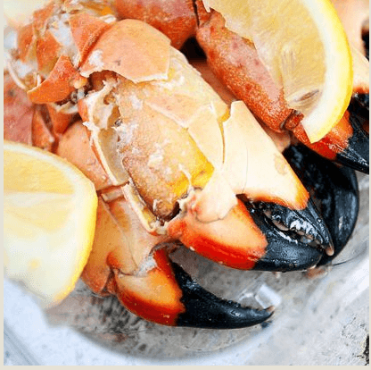 stone crab