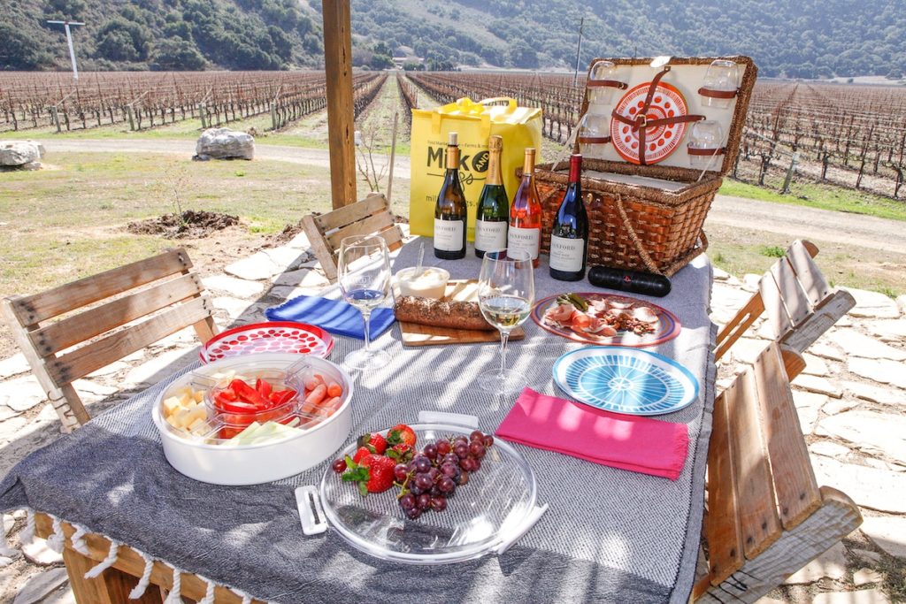 Winery Picnic